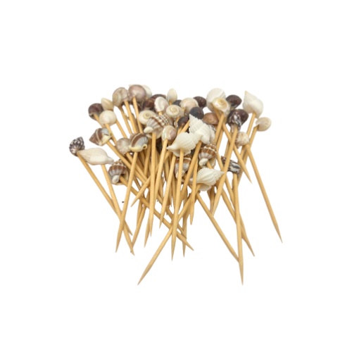 Cowrie Shell Seashell Toothpick Holder Natural Beach Decor