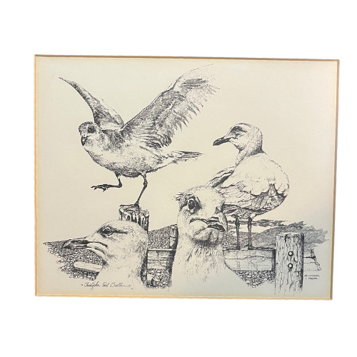 Signed Christopher Paul Bollen "Mr. Livingston, I Presume" Framed Seagulls Art