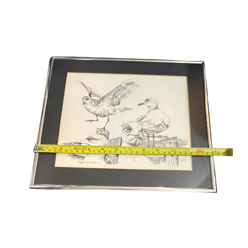 Signed Christopher Paul Bollen "Mr. Livingston, I Presume" Framed Seagulls Art