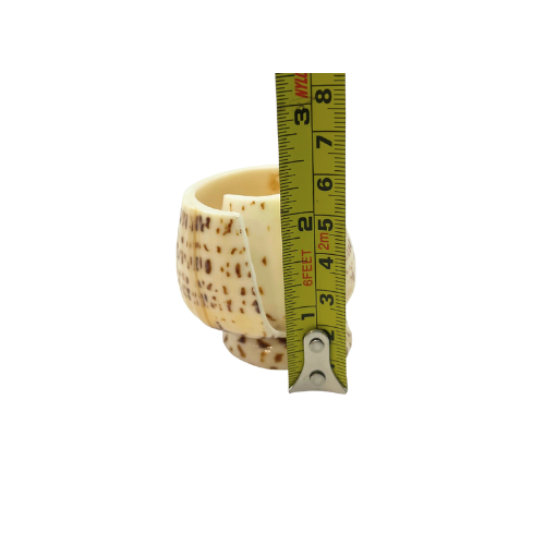 Cowrie Shell Seashell Toothpick Holder Natural Beach Decor
