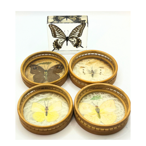Vintage Real Butterfly Bamboo Coasters with Acrylic Asian Swallowtail Butter Fly Display Paperweight