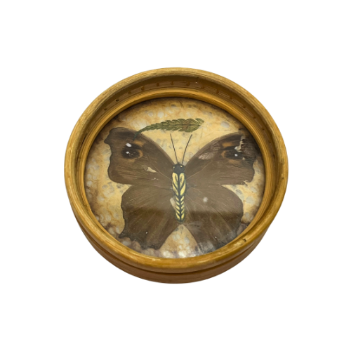 Vintage Real Butterfly Bamboo Coasters with Acrylic Asian Swallowtail Butter Fly Display Paperweight