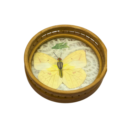 Vintage Real Butterfly Bamboo Coasters with Acrylic Asian Swallowtail Butter Fly Display Paperweight