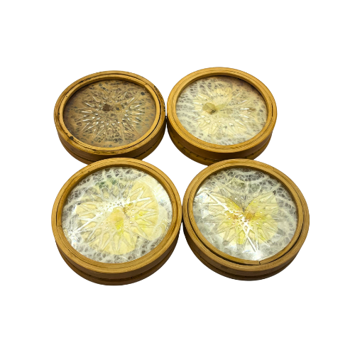 Vintage Real Butterfly Bamboo Coasters with Acrylic Asian Swallowtail Butter Fly Display Paperweight