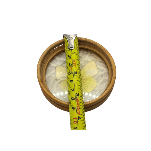 Vintage Real Butterfly Bamboo Coasters with Acrylic Asian Swallowtail Butter Fly Display Paperweight