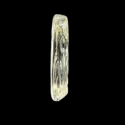 Wedgwood Crystal Reverse Cut Paperweight Wild Birds Heron