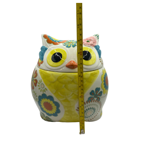 Pier 1 Imports Hand Painted Owl Cookie Jar 9.5” Tall