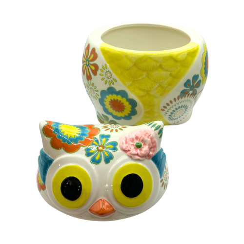 Pier 1 Imports Hand Painted Owl Cookie Jar 9.5” Tall