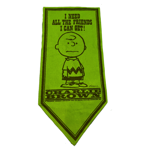 1967 RARE Peanuts Charlie Brown Felt Banner “I Need All the Friends I Can Get" Green
