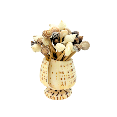 Cowrie Shell Seashell Toothpick Holder Natural Beach Decor