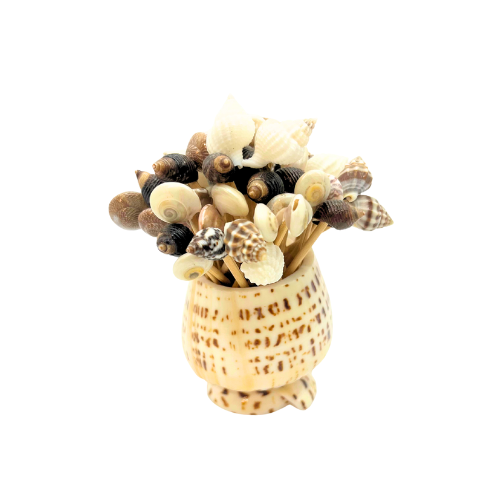 Cowrie Shell Seashell Toothpick Holder Natural Beach Decor