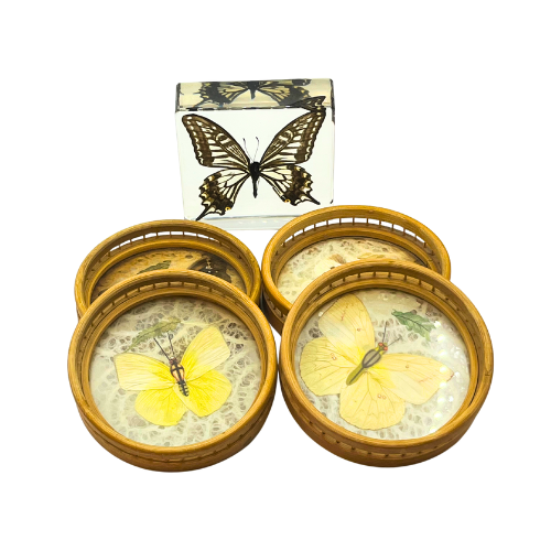 Vintage Real Butterfly Bamboo Coasters  with Acrylic Asian Swallowtail Butter Fly Display Paperweight