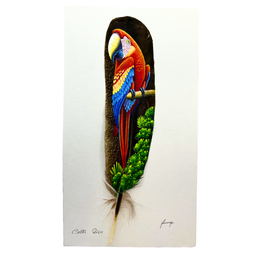 Costa Rica Hand Painted Feather Art Signed- Feather 11" by 2.35"