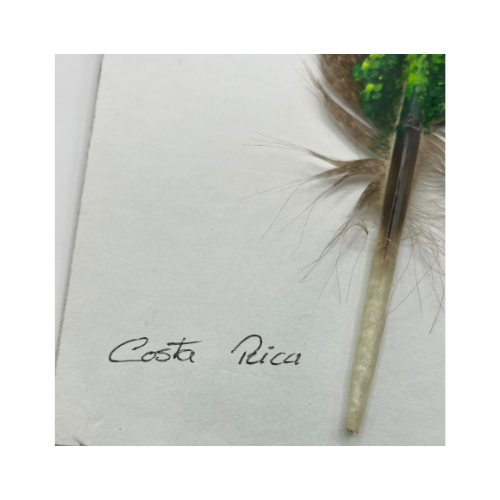 Costa Rica Hand Painted Feather Art Signed- Feather 11" by 2.35"