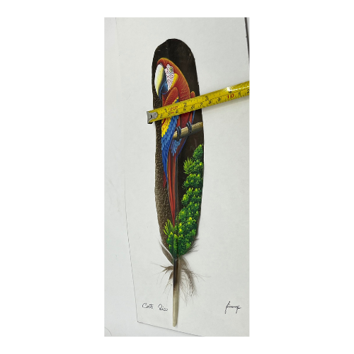 Costa Rica Hand Painted Feather Art Signed- Feather 11" by 2.35"