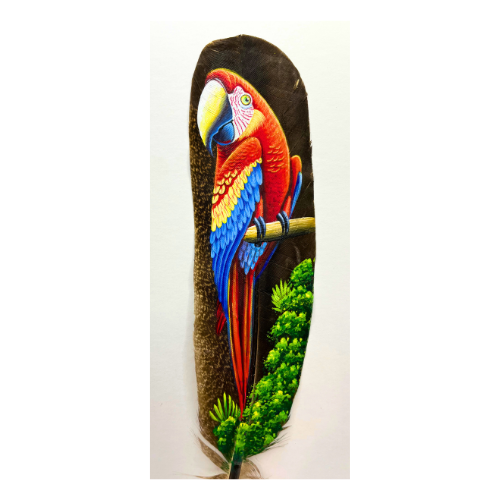 Costa Rica Hand Painted Feather Art Signed- Feather 11" by 2.35"