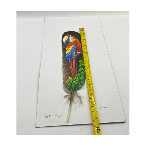 Costa Rica Hand Painted Feather Art Signed- Feather 11" by 2.35"